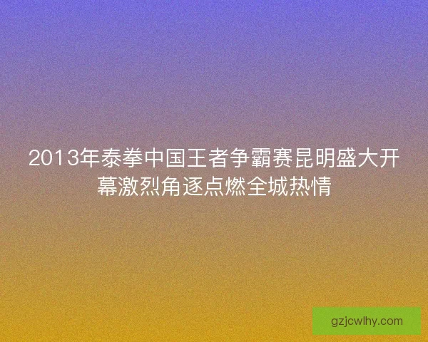 2013年泰拳中国王者争霸赛昆明盛大开幕激烈角逐点燃全城热情